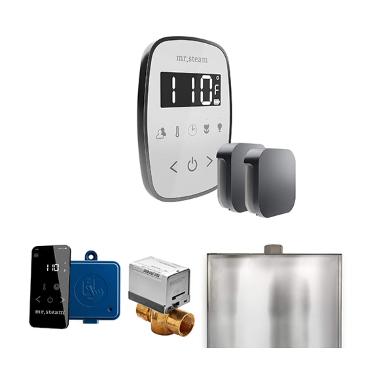 Mr.Steam ButlerFlex Steam Shower Control Package W/ TempoFlex Control & Aroma SteamHeads (SAK92375)