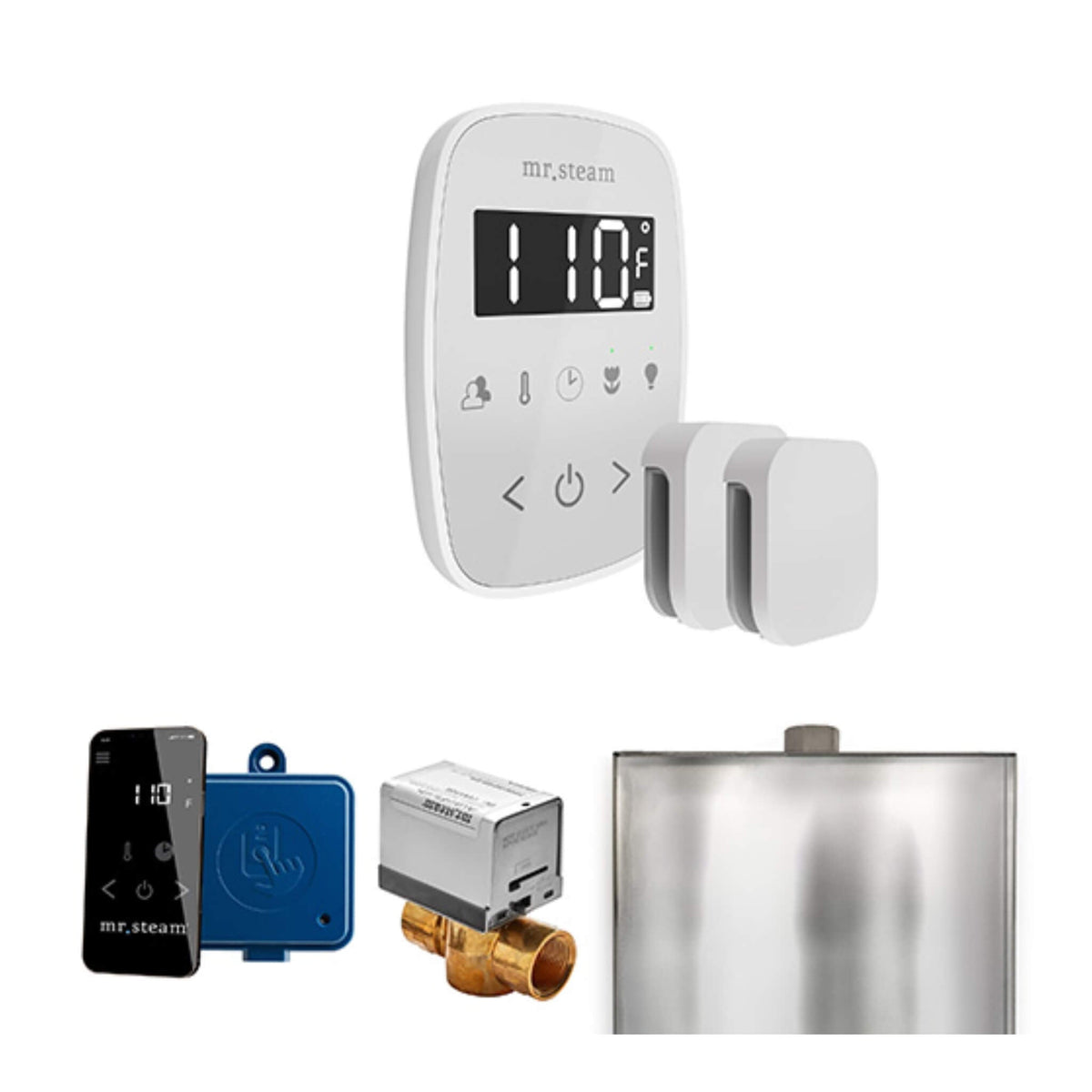 Mr.Steam ButlerFlex Steam Shower Control Package W/ TempoFlex Control & Aroma SteamHeads (SAK92375)