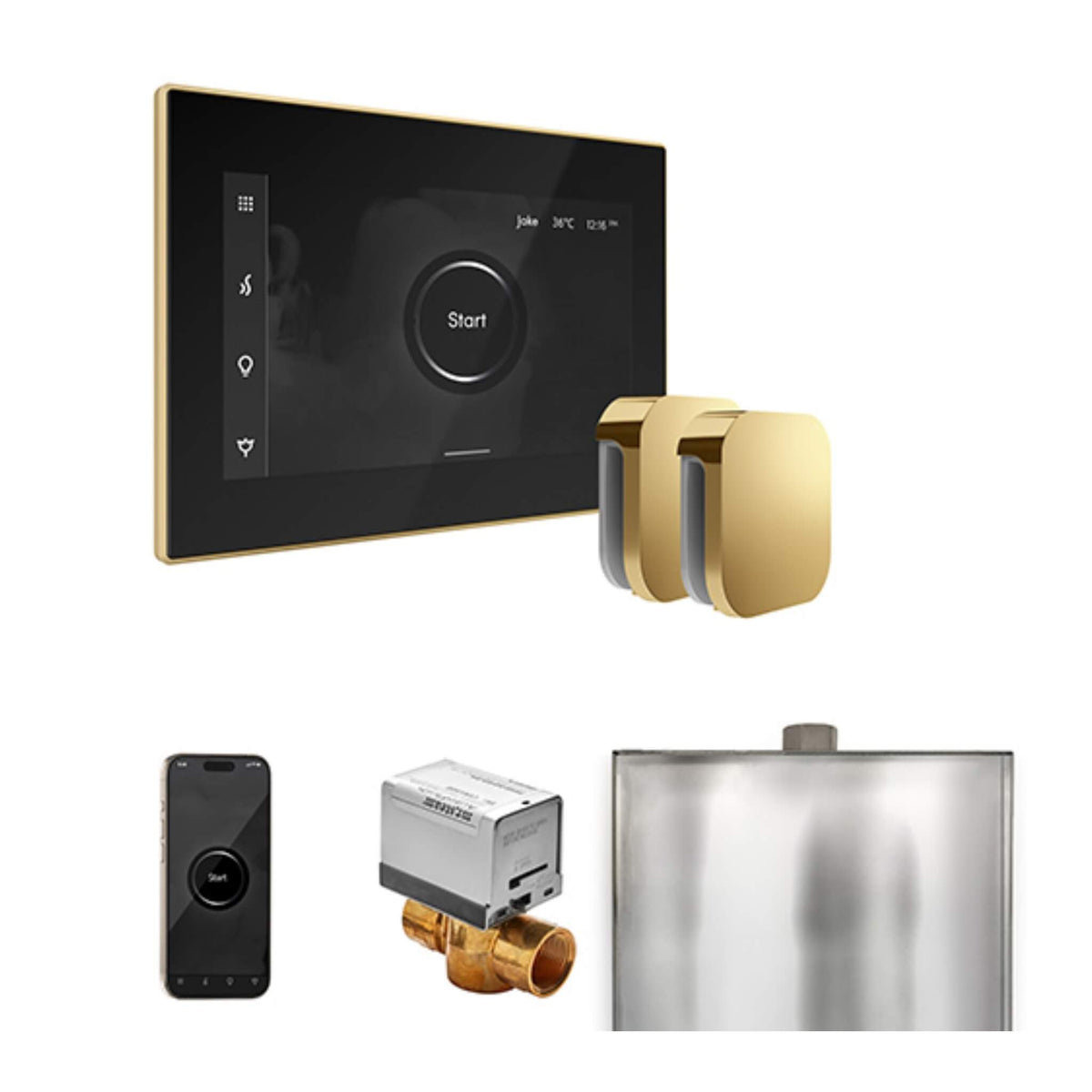 Mr.Steam XButler Steam Shower Control Package W/ iSteamX Control & Aroma SteamHeads (SAK85204)