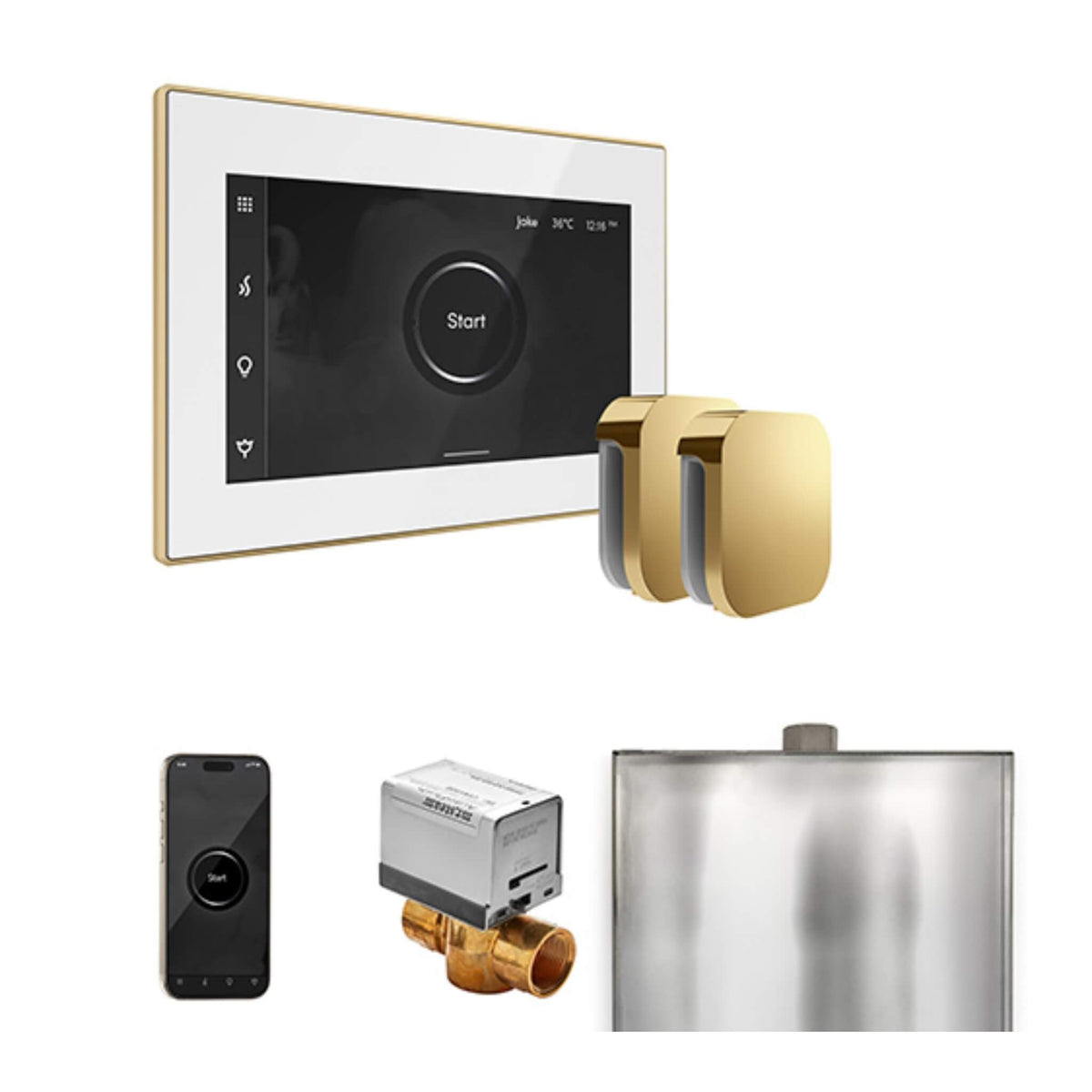 Mr.Steam XButler Steam Shower Control Package W/ iSteamX Control & Aroma SteamHeads (SAK85204)