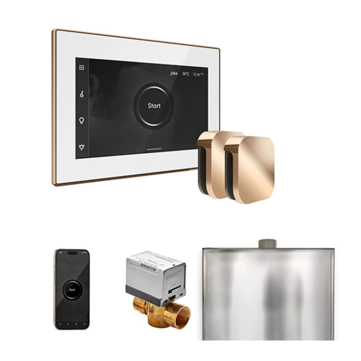 Mr.Steam XButler Steam Shower Control Package W/ iSteamX Control & Aroma SteamHeads (SAK85204)