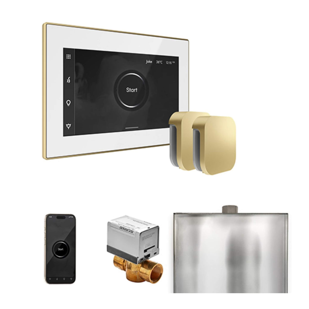 Mr.Steam XButler Steam Shower Control Package W/ iSteamX Control & Aroma SteamHeads (SAK85204)