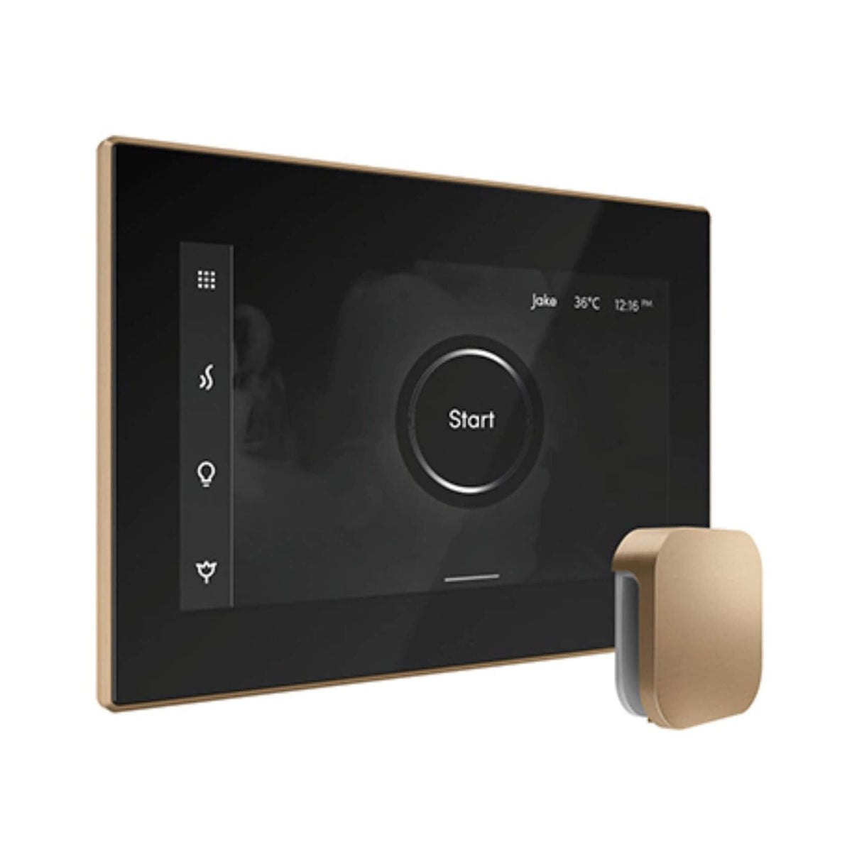 Mr.Steam iSteamX Steam Shower Control W/ Aroma SteamHead (SAK42217)