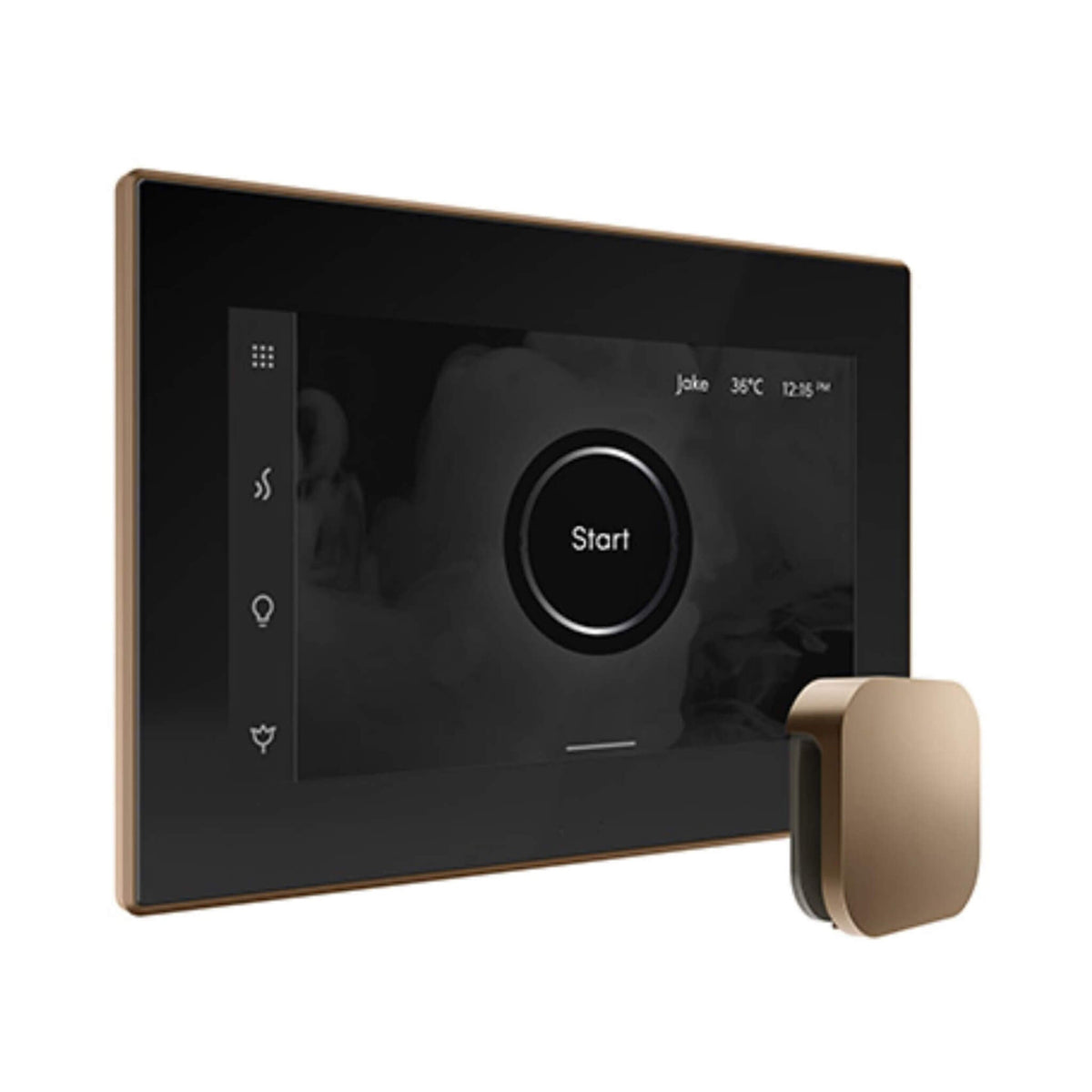 Mr.Steam iSteamX Steam Shower Control W/ Aroma SteamHead (SAK42217)