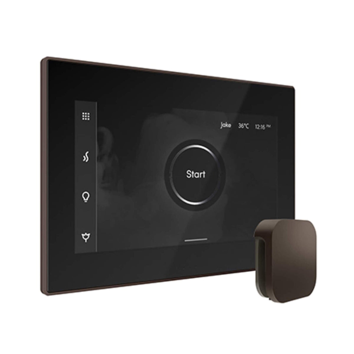 Mr.Steam iSteamX Steam Shower Control W/ Aroma SteamHead (SAK42217)