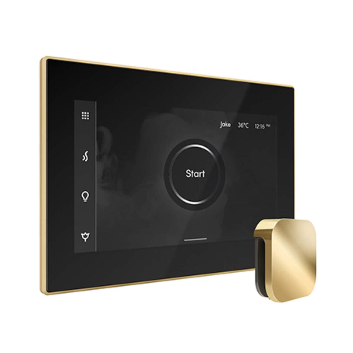 Mr.Steam iSteamX Steam Shower Control W/ Aroma SteamHead (SAK42217)