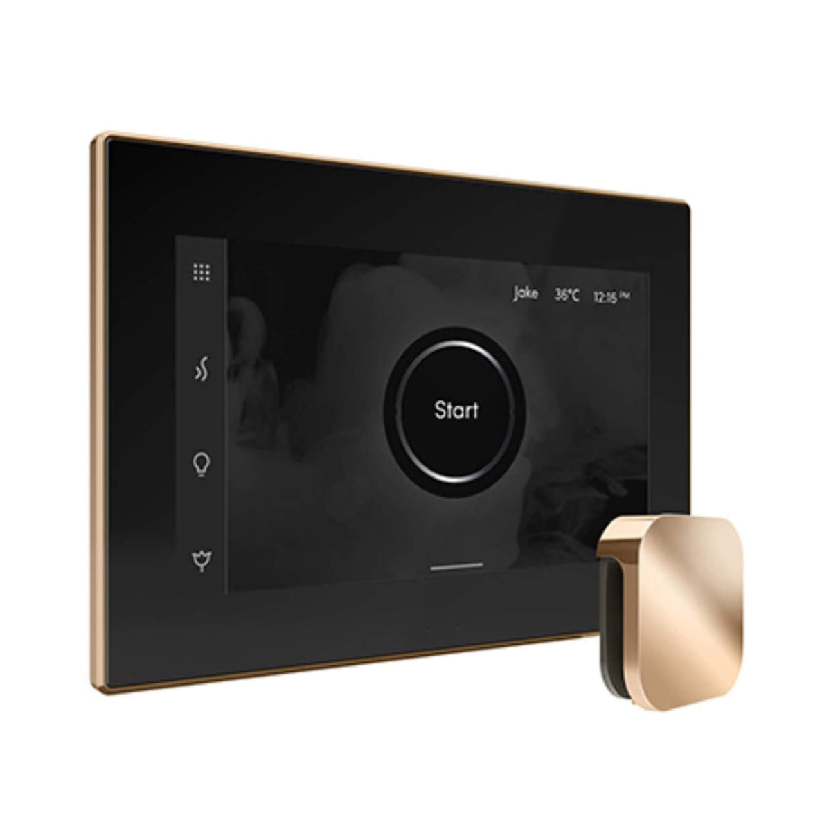 Mr.Steam iSteamX Steam Shower Control W/ Aroma SteamHead (SAK42217)