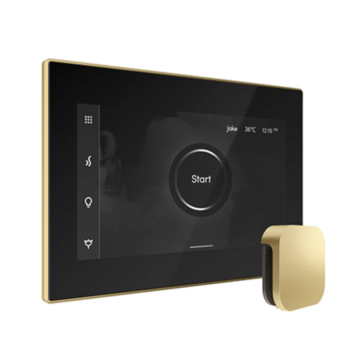 Mr.Steam iSteamX Steam Shower Control W/ Aroma SteamHead (SAK42217)
