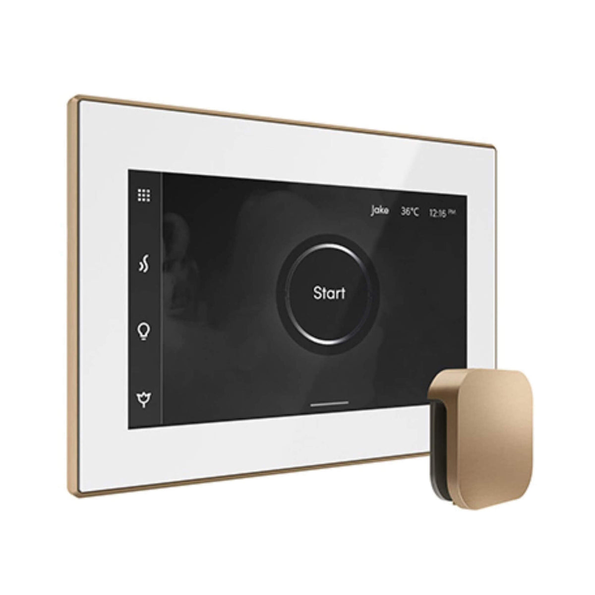 Mr.Steam iSteamX Steam Shower Control W/ Aroma SteamHead (SAK42217)