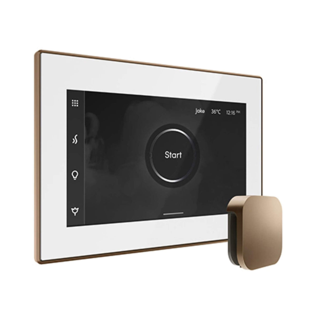 Mr.Steam iSteamX Steam Shower Control W/ Aroma SteamHead (SAK42217)