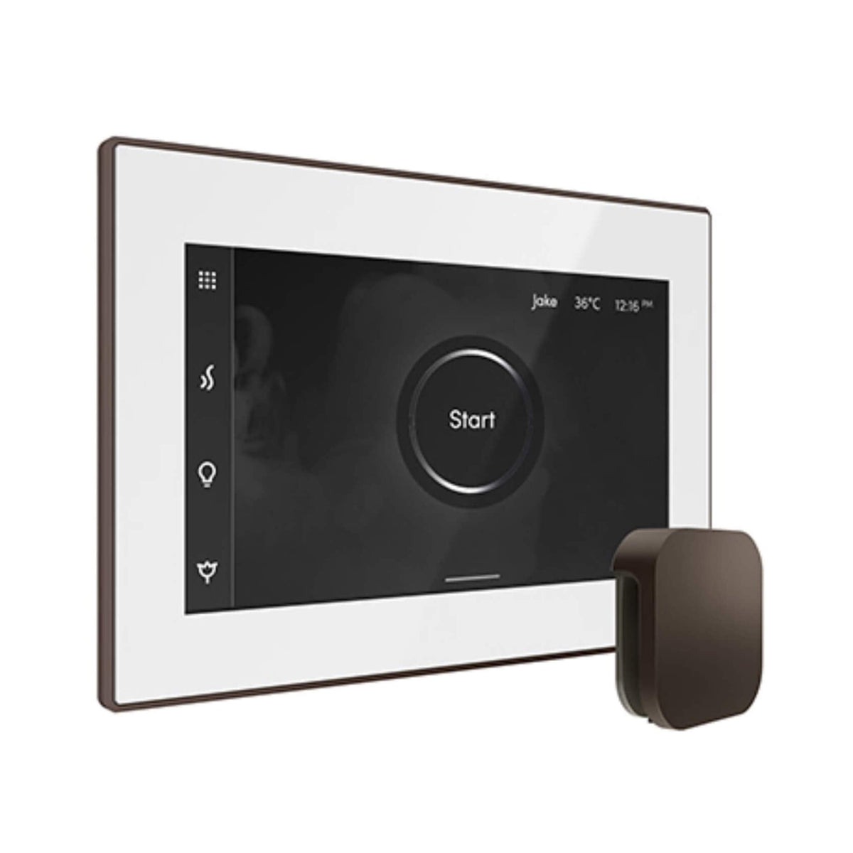 Mr.Steam iSteamX Steam Shower Control W/ Aroma SteamHead (SAK42217)