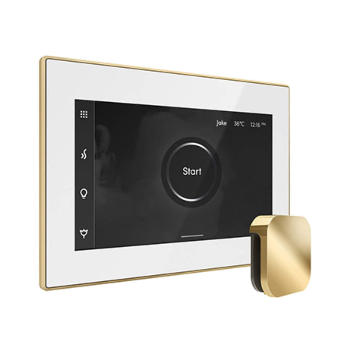 Mr.Steam iSteamX Steam Shower Control W/ Aroma SteamHead (SAK42217)