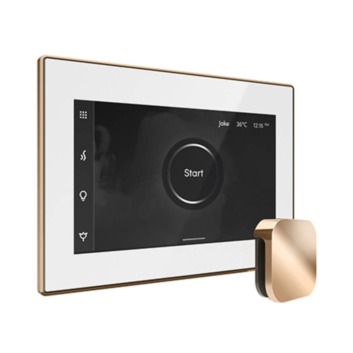 Mr.Steam iSteamX Steam Shower Control W/ Aroma SteamHead (SAK42217)