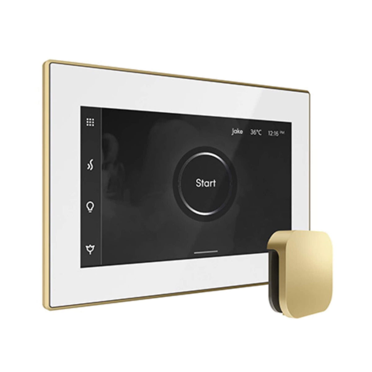 Mr.Steam iSteamX Steam Shower Control W/ Aroma SteamHead (SAK42217)