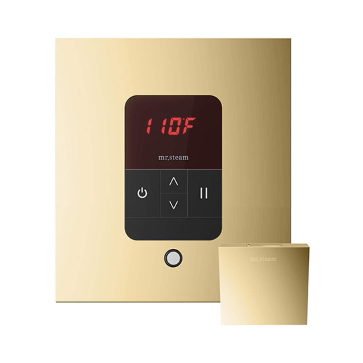 Mr.Steam iTempo Steam Shower Control With Aroma Designer Finish SteamHead (SAK92152)