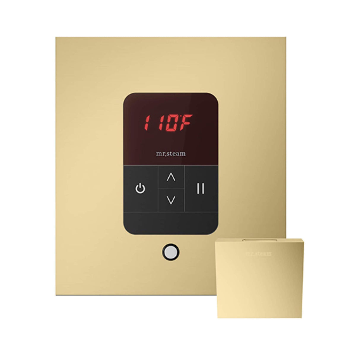 Mr.Steam iTempo Steam Shower Control With Aroma Designer Finish SteamHead (SAK92152)