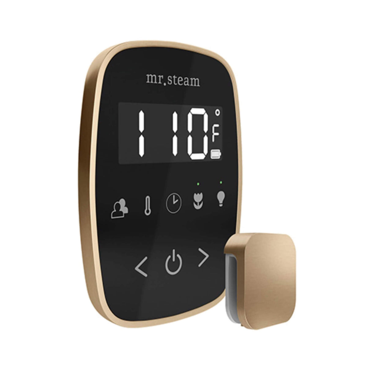 Mr.Steam TempoFlex Steam Shower Control With Aroma SteamHead (SAK62841)