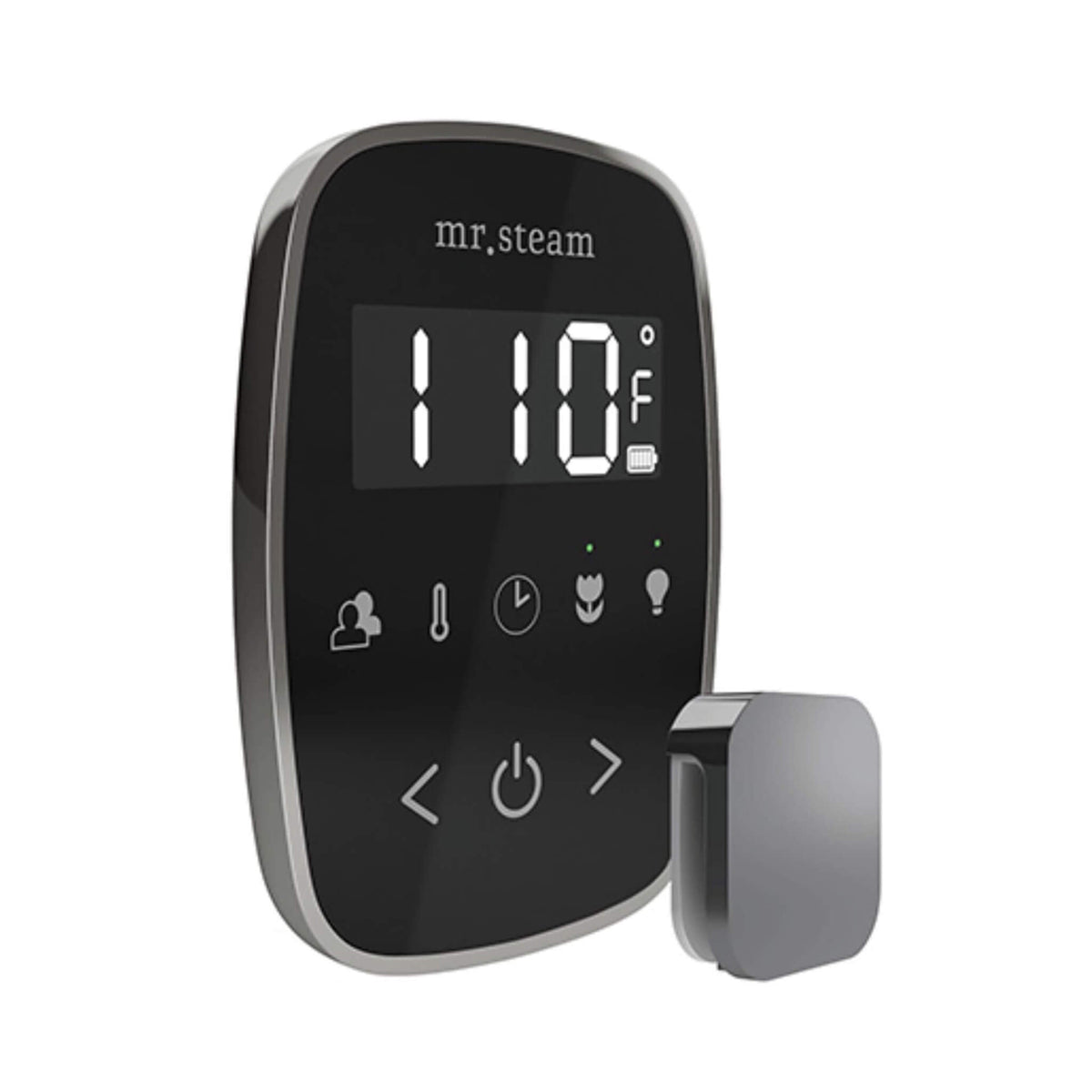 Mr.Steam TempoFlex Steam Shower Control With Aroma SteamHead (SAK62841)