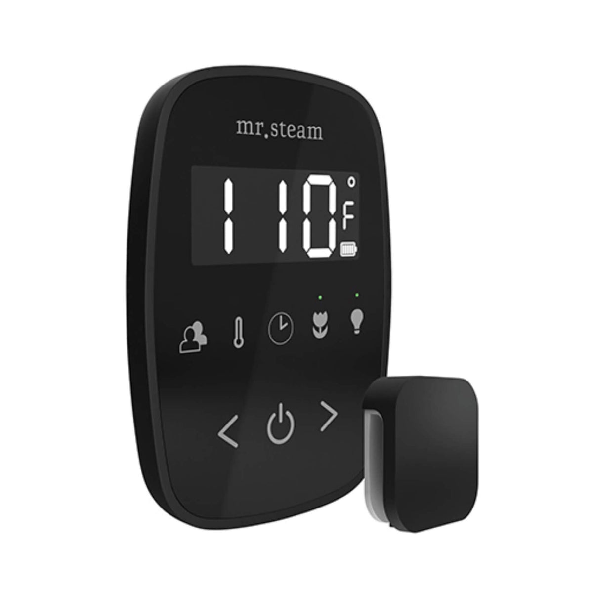 Mr.Steam TempoFlex Steam Shower Control With Aroma SteamHead (SAK62841)