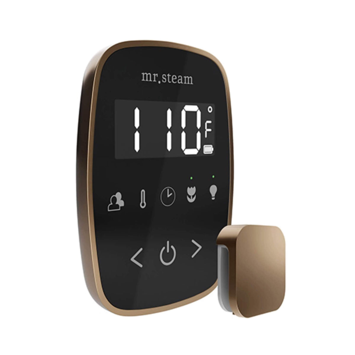 Mr.Steam TempoFlex Steam Shower Control With Aroma SteamHead (SAK62841)