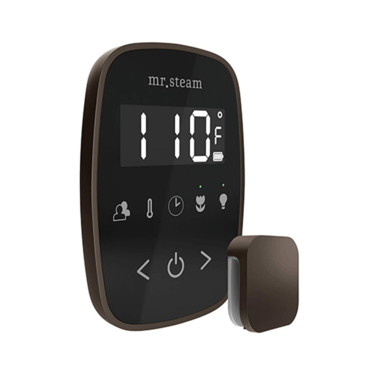 Mr.Steam TempoFlex Steam Shower Control With Aroma SteamHead (SAK62841)