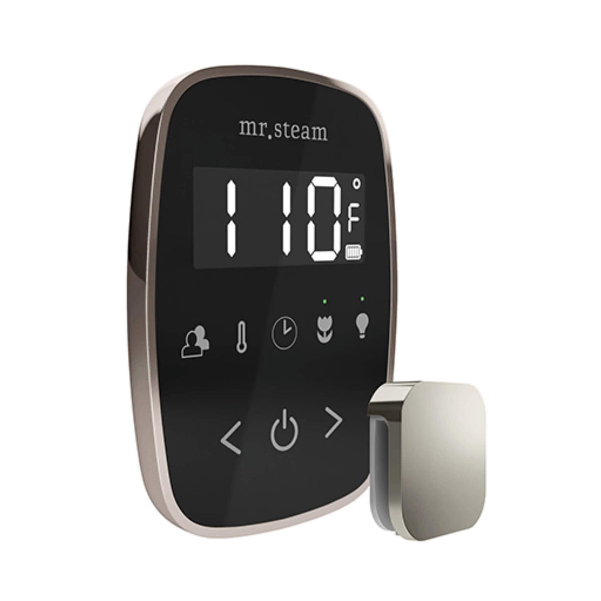 Mr.Steam TempoFlex Steam Shower Control With Aroma SteamHead (SAK62841)
