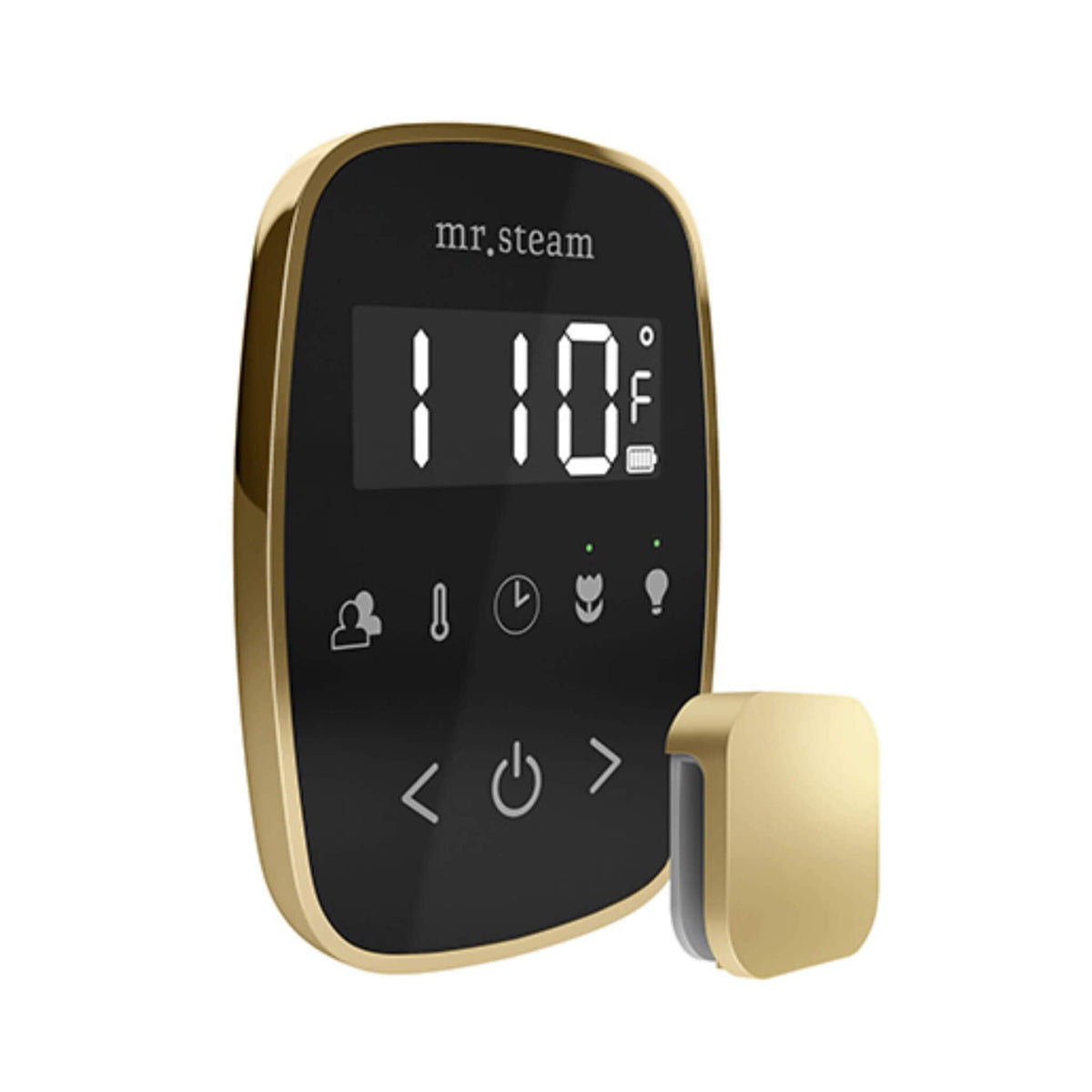 Mr.Steam TempoFlex Steam Shower Control With Aroma SteamHead (SAK62841)