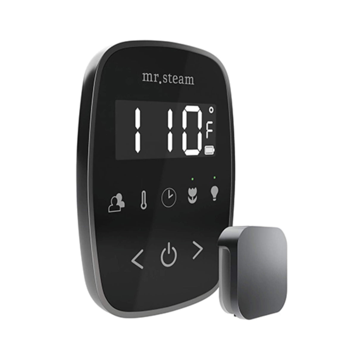 Mr.Steam TempoFlex Steam Shower Control With Aroma SteamHead (SAK62841)