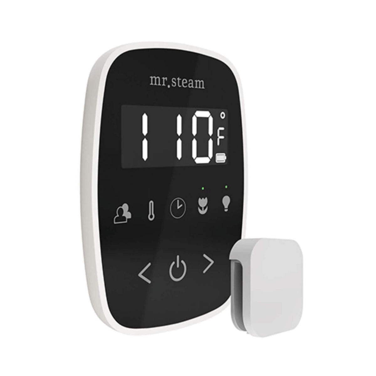 Mr.Steam TempoFlex Steam Shower Control With Aroma SteamHead (SAK62841)