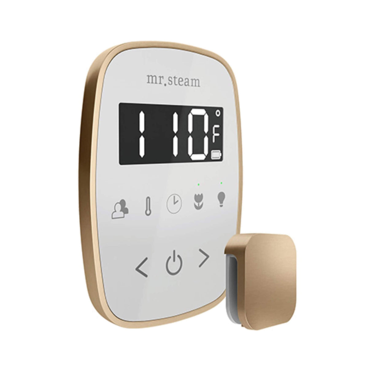 Mr.Steam TempoFlex Steam Shower Control With Aroma SteamHead (SAK62841)