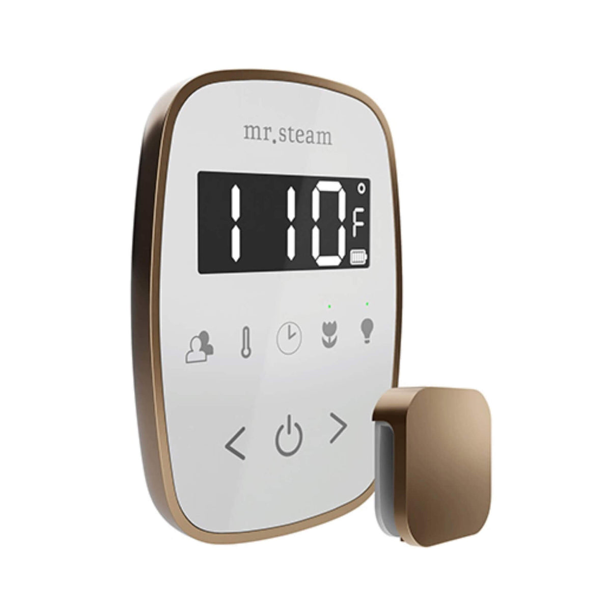 Mr.Steam TempoFlex Steam Shower Control With Aroma SteamHead (SAK62841)