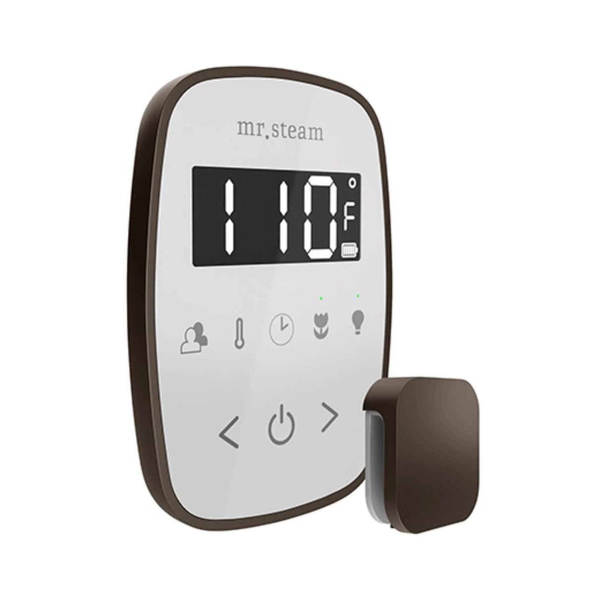 Mr.Steam TempoFlex Steam Shower Control With Aroma SteamHead (SAK62841)