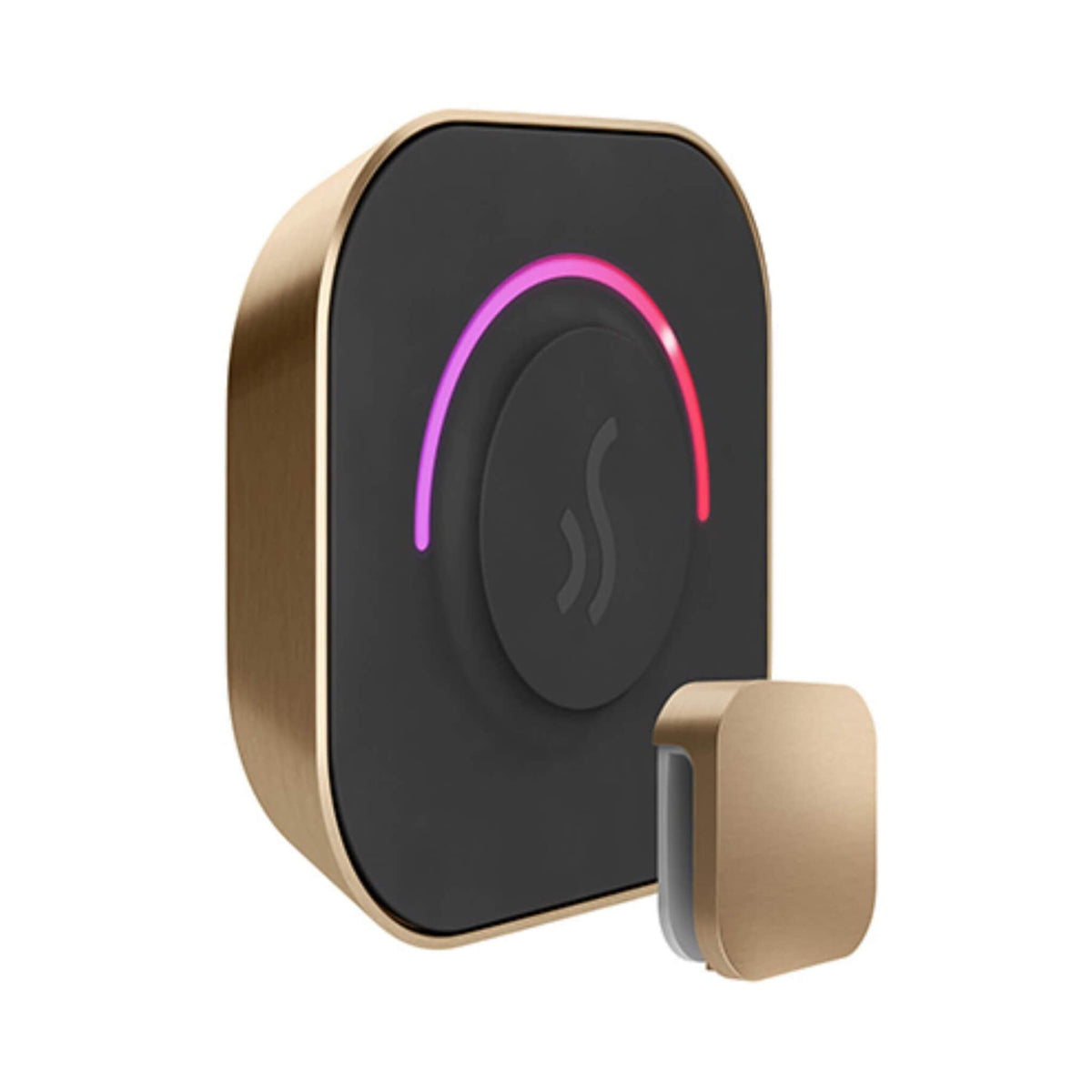 Mr.Steam TempoTouch Steam Shower Control With Aroma SteamHead (SAK10429)