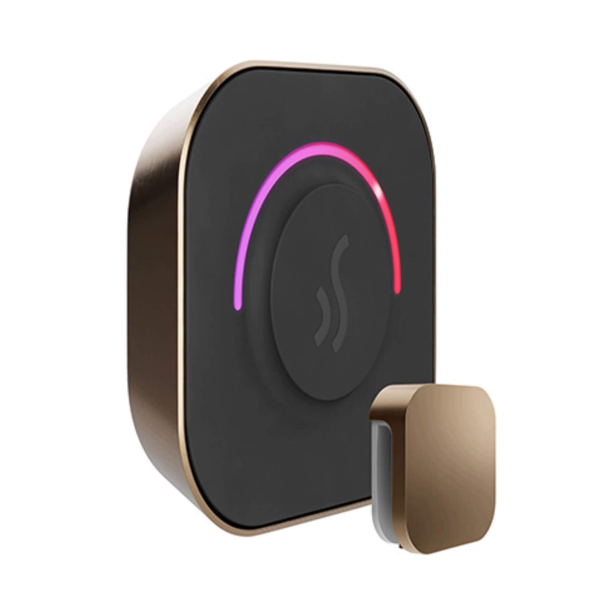 Mr.Steam TempoTouch Steam Shower Control With Aroma SteamHead (SAK10429)