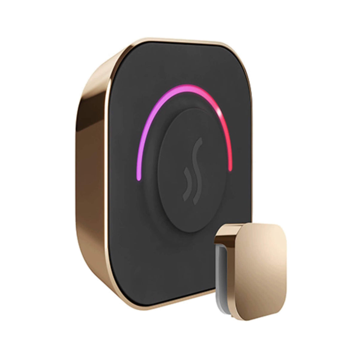 Mr.Steam TempoTouch Steam Shower Control With Aroma SteamHead (SAK10429)