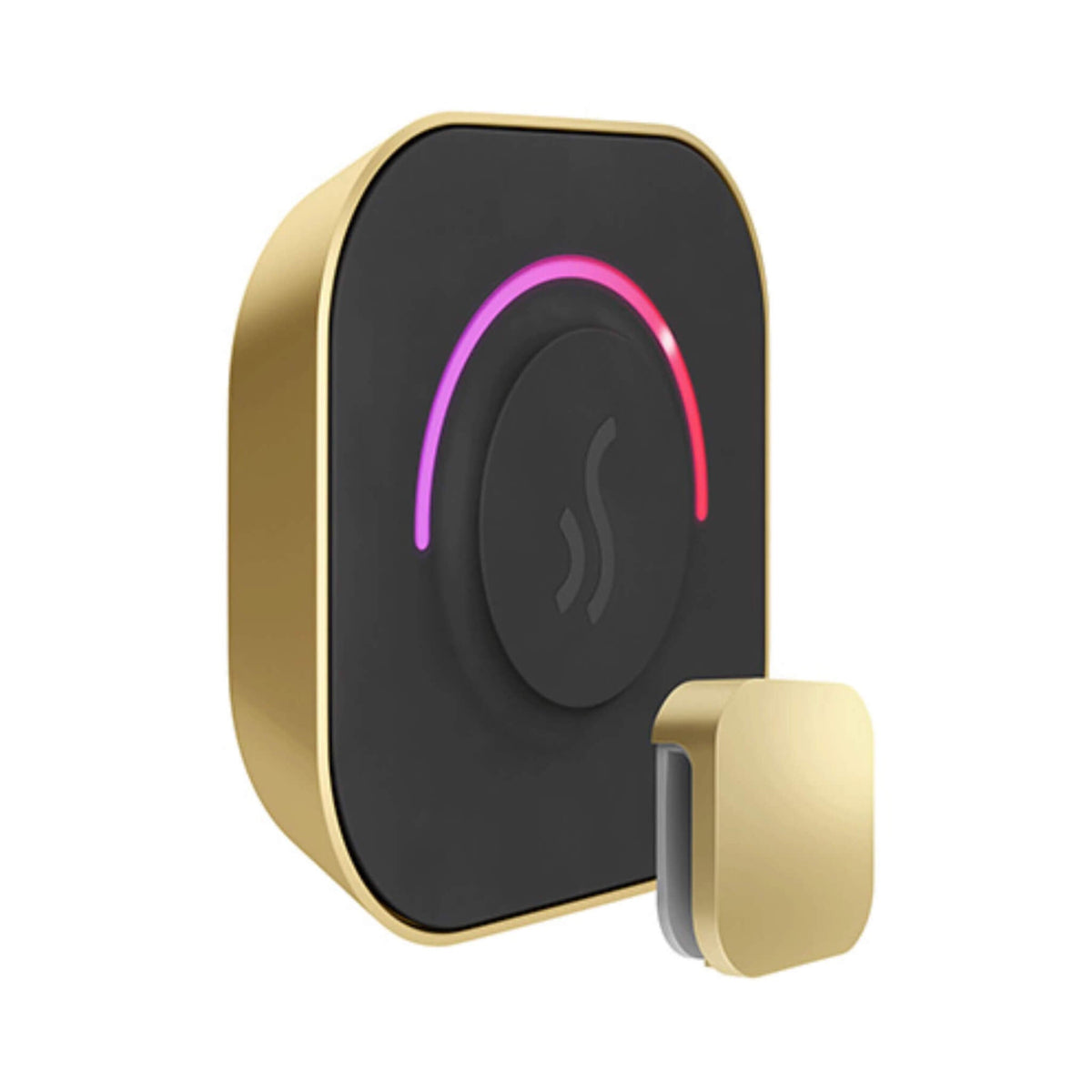 Mr.Steam TempoTouch Steam Shower Control With Aroma SteamHead (SAK10429)