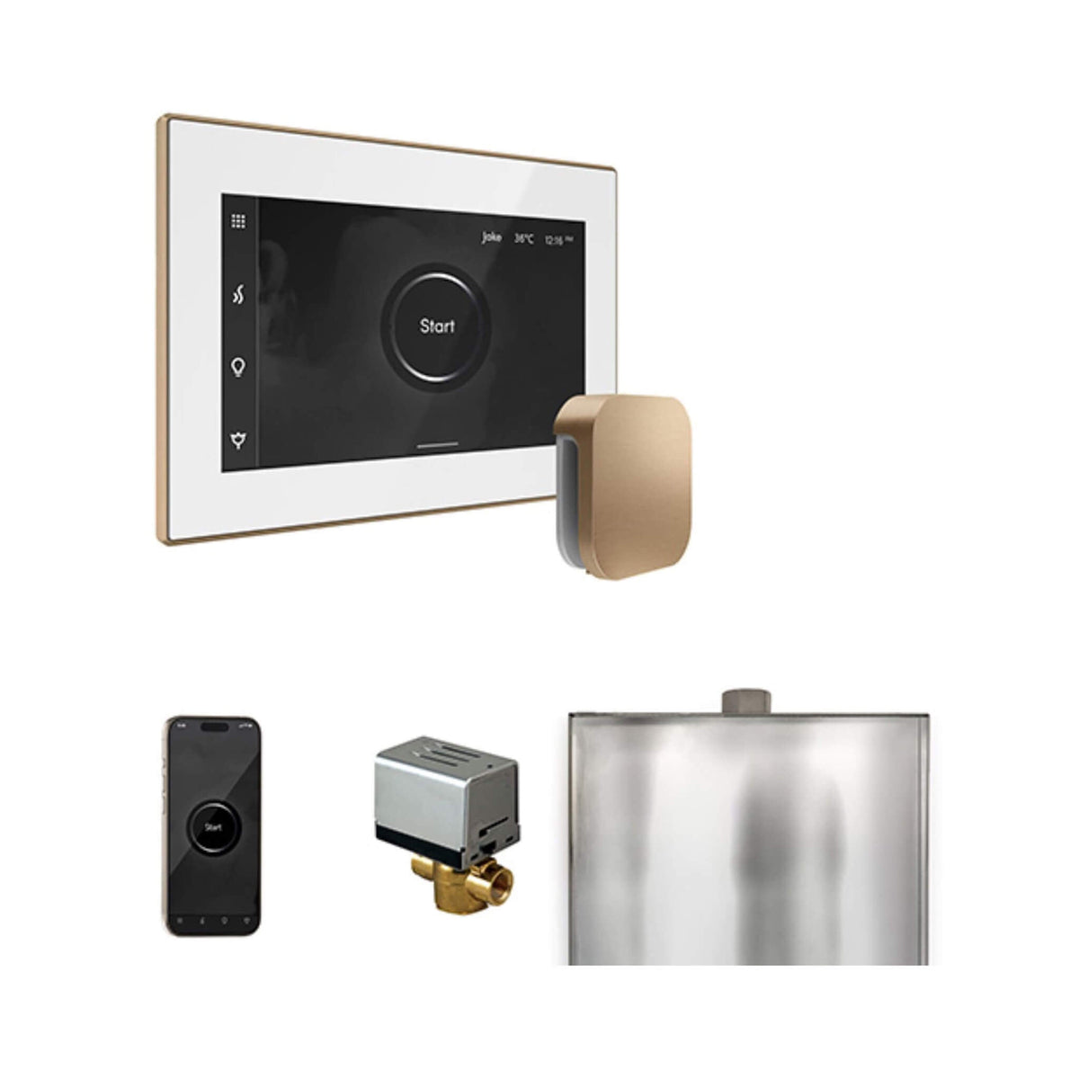 Mr.Steam XButler Steam Shower Control Package With iSteamX Control & AutoFlush System (SAK10782)