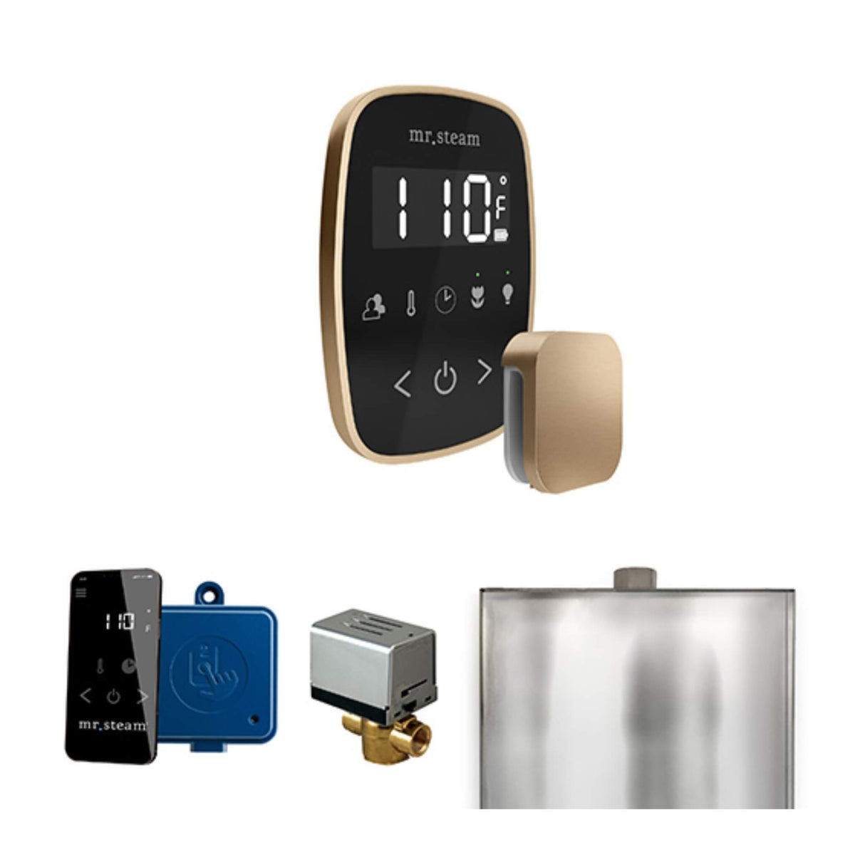 Mr.Steam ButlerFlex Steam Shower Control Package W/ TempoFlex Control (SAK38129)
