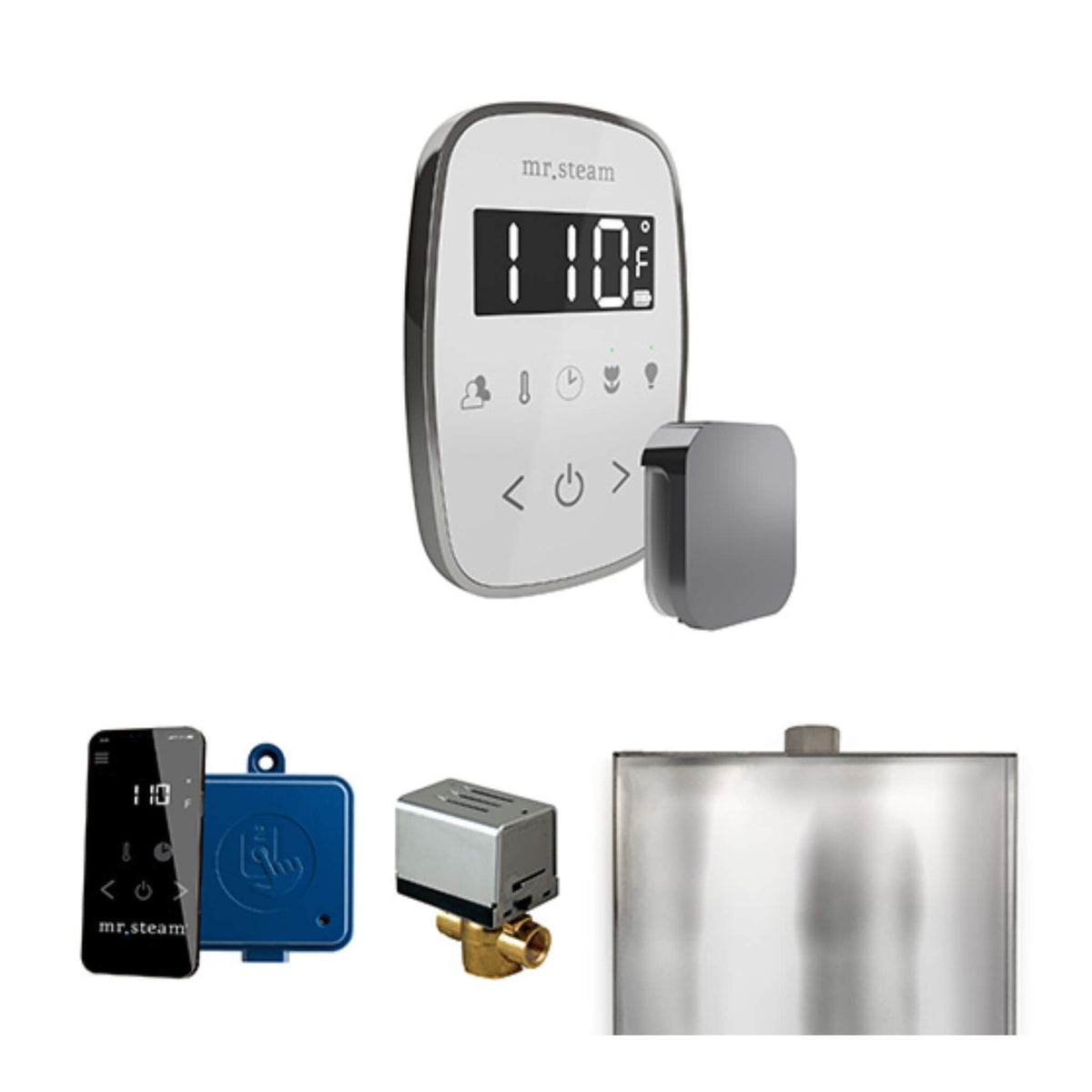 Mr.Steam ButlerFlex Steam Shower Control Package W/ TempoFlex Control (SAK38129)