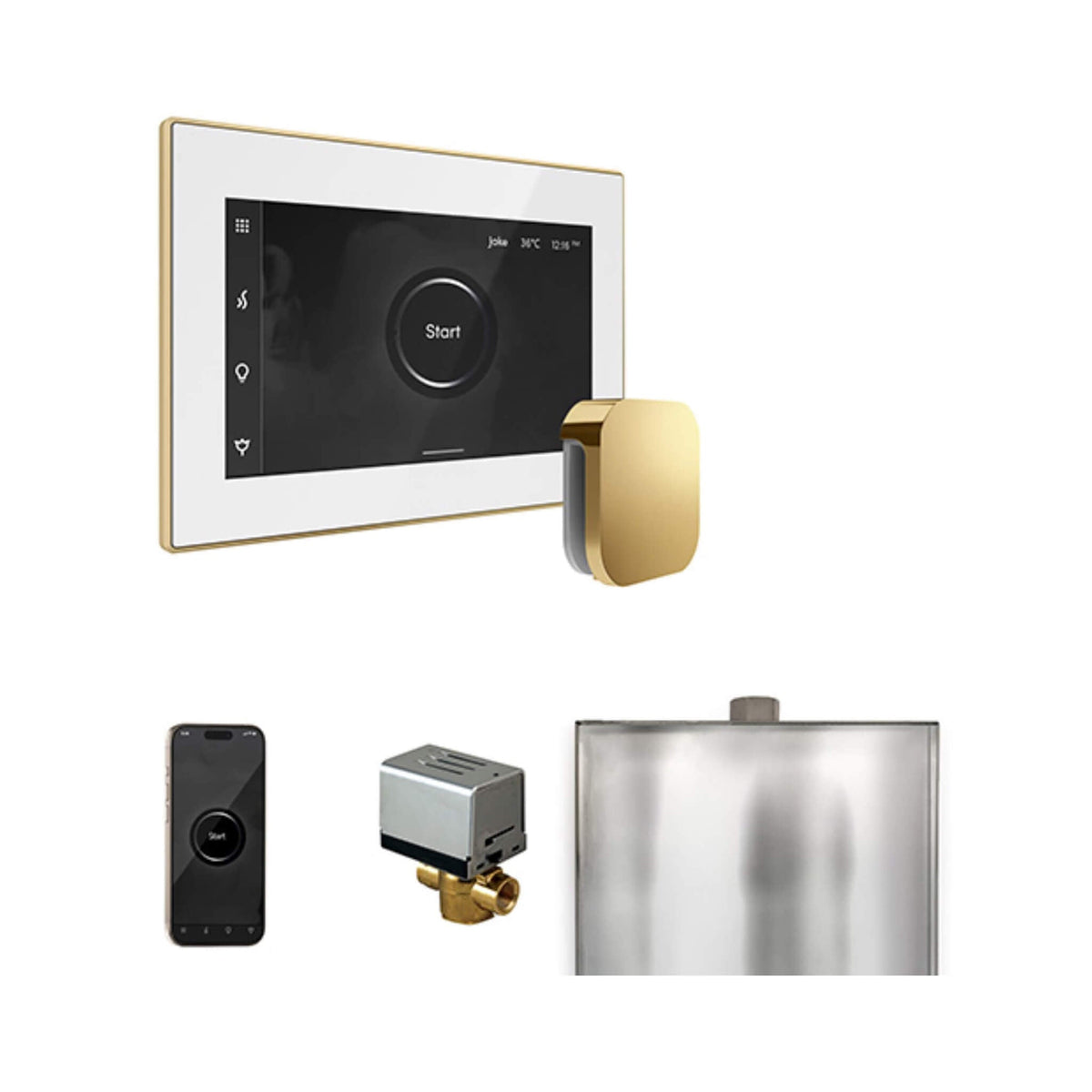Mr.Steam XButler Steam Shower Control Package With iSteamX Control & AutoFlush System (SAK10782)