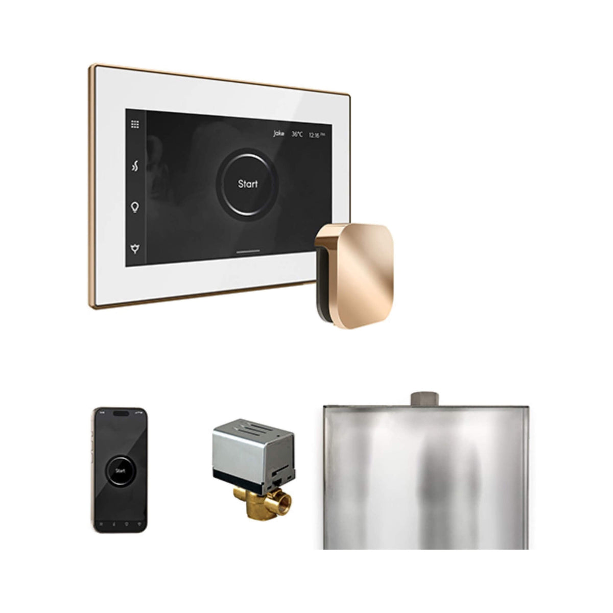 Mr.Steam XButler Steam Shower Control Package With iSteamX Control & AutoFlush System (SAK10782)